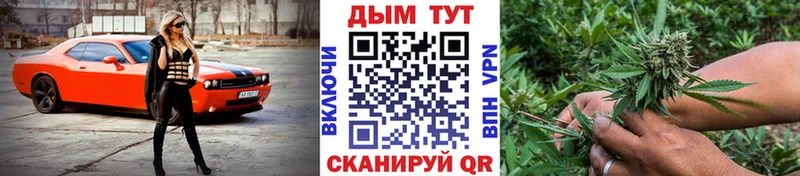 Где купить Стародуб Alpha PVP  Cocaine  МЕФ  ГАШИШ 
