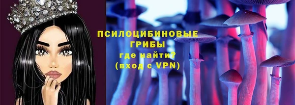 тгк Няндома