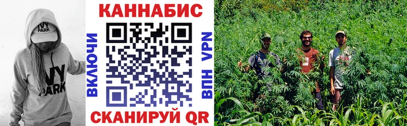 продажа наркотиков  Стародуб  Бошки Шишки LSD WEED 